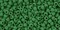 Toho 11/0 Round Japanese Seed Bead, TR11-47HF, Opaque Frost Pine Green